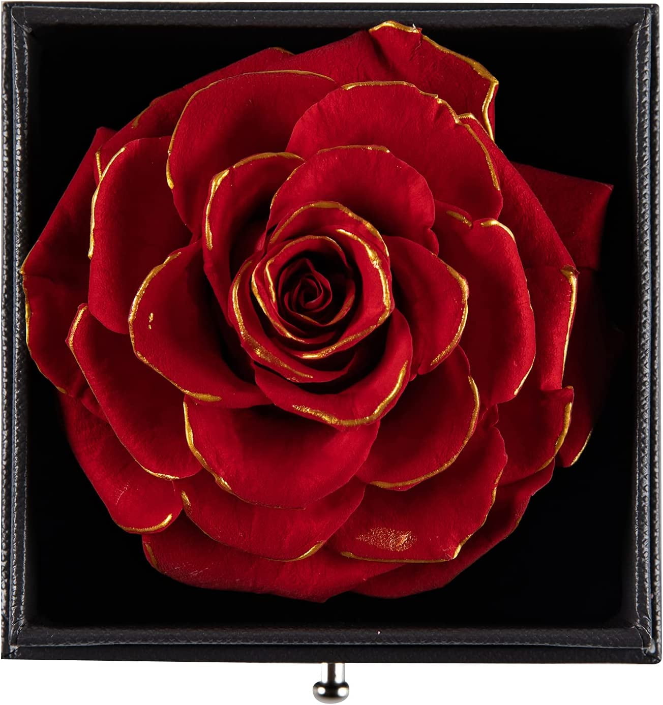 Preserved Real Rose with Silver-Tone Heart Necklace I Love You in 100 Languages Gift Set, Enchanted Real Rose Flower for Valentine'S Day Anniversary Wedding Romantic Gifts for Her (Red with Gold)