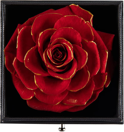 Preserved Real Rose with Silver-Tone Heart Necklace I Love You in 100 Languages Gift Set, Enchanted Real Rose Flower for Valentine'S Day Anniversary Wedding Romantic Gifts for Her (Red with Gold)