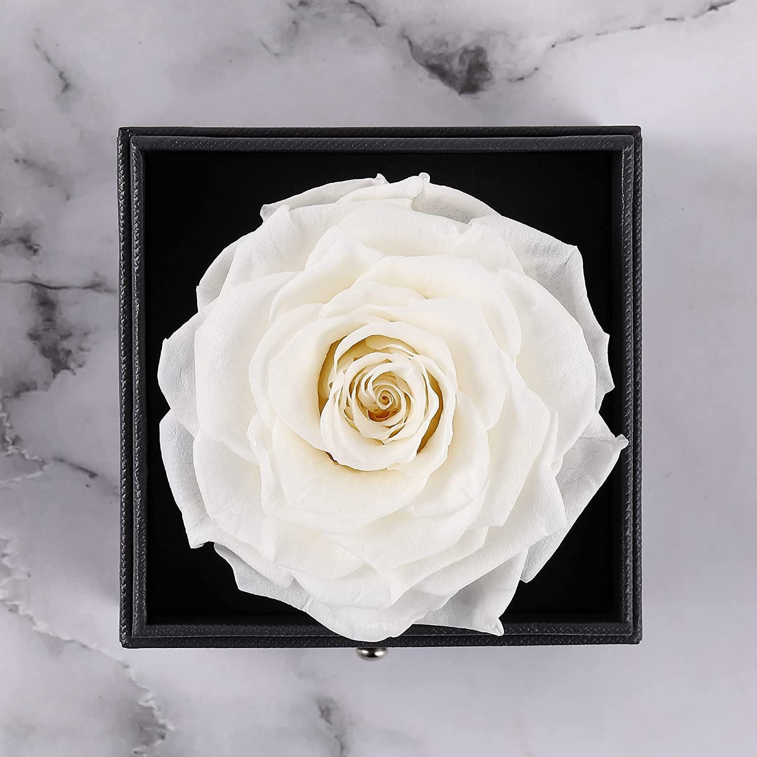 Preserved Real Rose with Silver-Tone Heart Necklace I Love You in 100 Languages Gift Set, Enchanted Real Rose Flower for Valentine'S Day Anniversary Wedding Romantic Gifts for Her (Red with Gold)