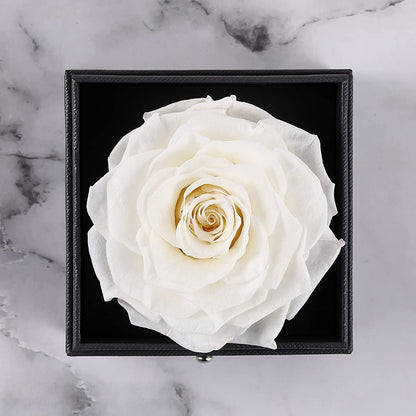 Preserved Real Rose with Silver-Tone Heart Necklace I Love You in 100 Languages Gift Set, Enchanted Real Rose Flower for Valentine'S Day Anniversary Wedding Romantic Gifts for Her (Red with Gold)