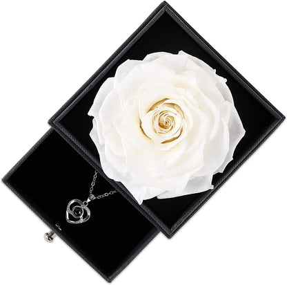 Preserved Real Rose with Silver-Tone Heart Necklace I Love You in 100 Languages Gift Set, Enchanted Real Rose Flower for Valentine'S Day Anniversary Wedding Romantic Gifts for Her (Red with Gold)